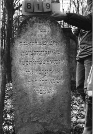 Grabstein 619 (Index: 99752517) Material: Sandstein Zustand: leicht verwittert Maße HxBxT: 125x54x9 cm Beschreibung: Stele, eingezogener Rundbogenabschluß: Grabstein 619