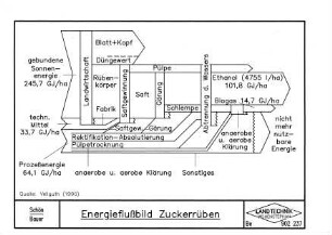 Energieflußbild Zuckerrüben