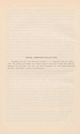 Punan Camphor-collectors
