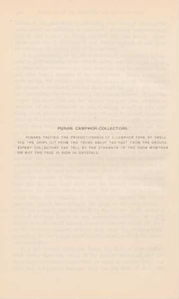Punan Camphor-collectors