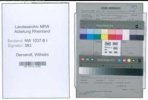 Entnazifizierung Wilhelm Demandt , geb. 06.04.1906 (Reichsbahnrat)