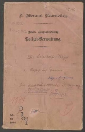 Sozialdemokratische und anarchistische Bewegung: Allgemeines und Einzelfälle