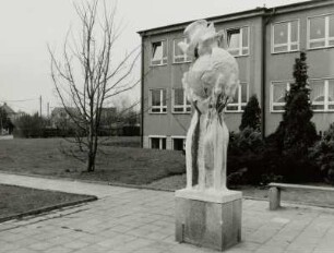 Hände mit Erdkugel und Friedenstaube