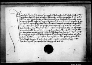 Wilhelm von Fronbach genannt von Angelloch quittiert um 100 fl. Heiratgeld seiner Frau Elisabeth Horneckin.