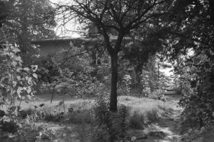 Blühender Garten am Teupitzer Wochenendhaus.
