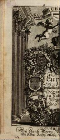 Provinciarum Europae geographica descriptio : Europa mit angrentzenden Welt-Theilen ... in 32 ... Tabellen vorgestellet ; sambt einem Vorbericht, und kurtzen Entwurff der Grentzen ...