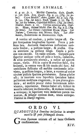 Ordo VI. Quadrupeda Dentibus incisoribus in utraque maxilla & pede solidungulo donata