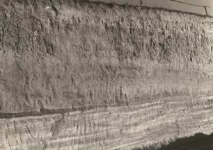 Sandgrube Deditz nö Grimma, Südwand. Parallel-u. kreuzgeschichtete Sande unter auskeilender Lehmschicht, lehmigen Sanden und Löß