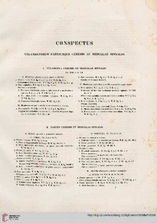 Conspectus