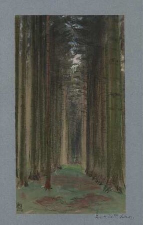 [Landschaft]