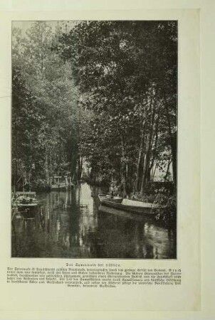 Der Spreewald bei Lübben