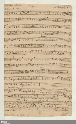 Violono