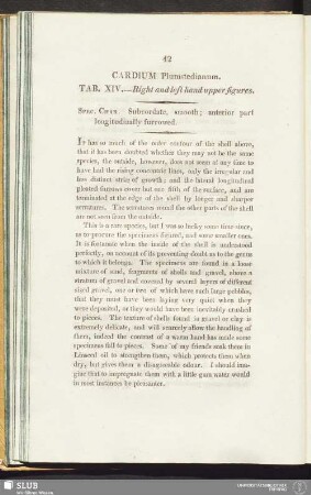 Cardium Plumstedianum. Tab. XIV. - Right and left hand upper figures