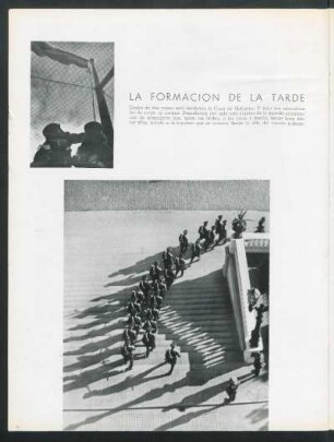 La formación de la tarde