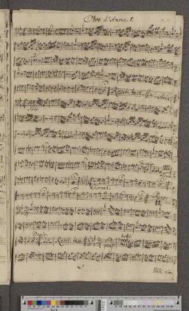 Oboe d'Amour 1