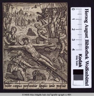 Mite corpus perforatur sanguis unde profluit