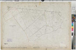 Langenhorst (Ochtrup), Flurbereinigung Langenhorst, Bl.5 Zuteilungskarte Flur 6