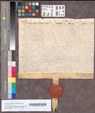 Octrooi van het Hof van Utrecht voor Theodora van Haeften, om van haar goederen te disponeeren, 20 Januari 1618. Perkament met uithangend zegel.