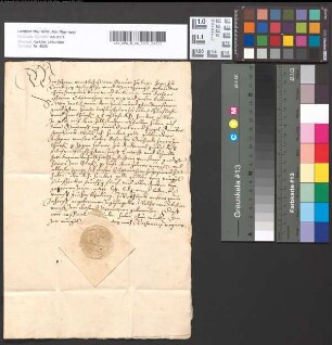 Quittung der Grafen Johann und Sebastian zu Sayn betreffend Rente von 800 Goldgulden aus dem Rheinzoll zu Andernach.