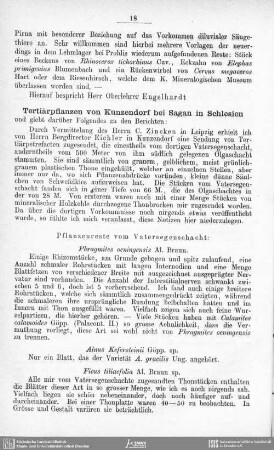 Tertiärpflanzen von Kunzendorf bei Sagen in Schlesien