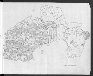 Karte 16. Groß Flintbek 1766