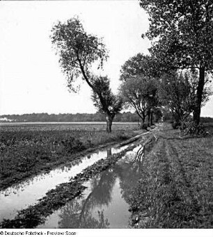 Ostpreußen, östliche Pregelniederung (Oblast Kaliningrad, Nishina Pruska). Landwirtschaftliche Nutzflächen und Wasseransammlung auf einem Weg