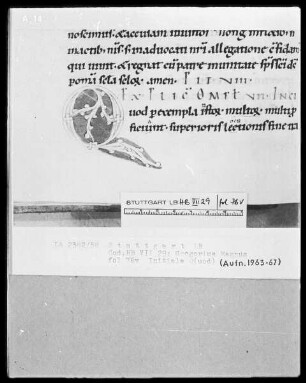 Gregorius Magnus, Homiliae in Ezecchielem — Initiale Q(uod), Folio 76verso