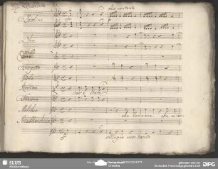 Quartetto: "Cos'è stato quelle voce quel rumore"