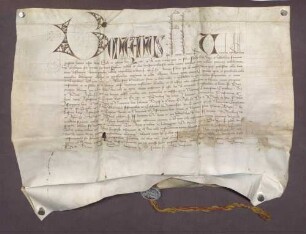 Ablassbrief des Papstes Bonifacius IX. für des St. Valentinsaltar in der Pfarrkirche zu Kuppenheim