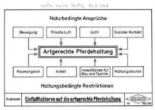 Einflußfaktoren auf die artgerechte Pferdehaltung