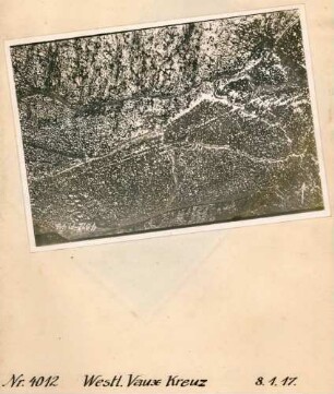 Foto des Geländes westlich des "Vaux Kreuzes" (Luftbild)