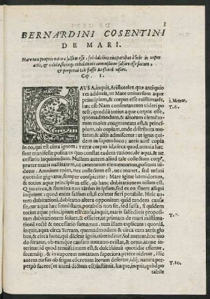 Bernardini Cosentini De Mari.