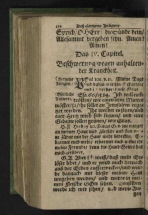 Das IV. Capitel. Beschwerung wegen anhaltender Krankheit.