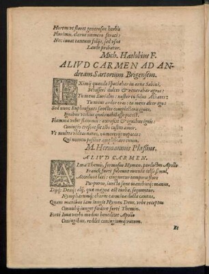 Aliud Carmen Ad Andream Sartorium Brigensem.