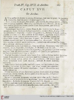 Caput XVII: De Auribus