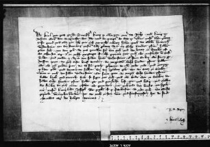 König Karl IV. gebietet denen von Ulm wiederholt, daß sie dem Wildensteiner oder seinem Boten 600 lb. h. der auf 6. Januar fälligen Reichssteuer der Städte bezahlen.