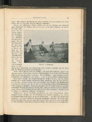Abb. 33. Safariwagen.