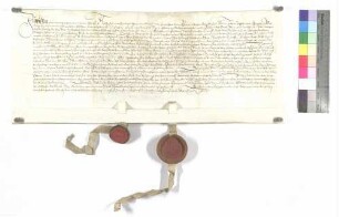 Vertrag zwischen Kloster Wiblingen und der Stadt Ulm wegen der Fischerei in der Iller