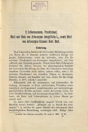 Beiträge zur Anatomie der Artocarpeen