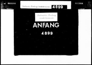Überwachung der öffentlichen Dirnen