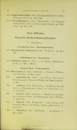 Vierte Abtheilung. Dicotyle Gefäss-Samenpflanzen.