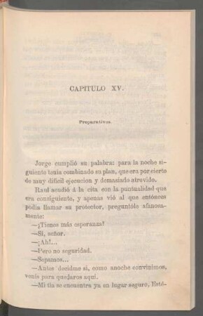 Capítulo XV. - Preparativos.