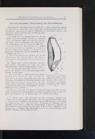 Die mikroskopische Untersuchung der Getreidefrüchte.