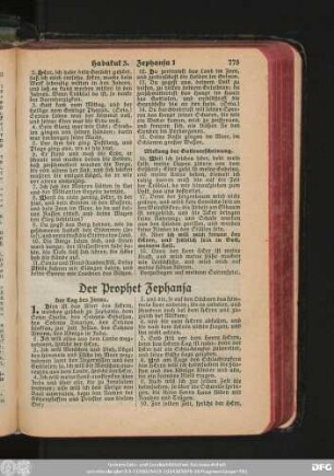 Der Prophet Zephanja