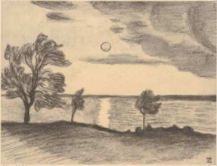 Drei Bäume am Strand (Vilm)