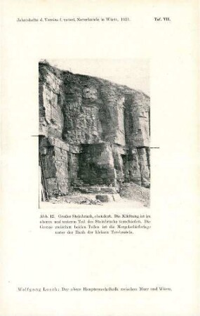 Tafel VII: Abb. 12: Großer Steinbruch, ebendort