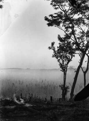 Morgennebel : Morgennebel in der Flussaue des Musonwedzi-Flusses, kurz vor Sonnenaufgang.