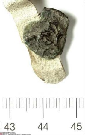 Der Ritter Dietrich von Ebersberg; die Brüder Simon von Steinau genannt Steinrück (Steynrucken) und Karl von Steinau genannt Steinrück; Betz von S...