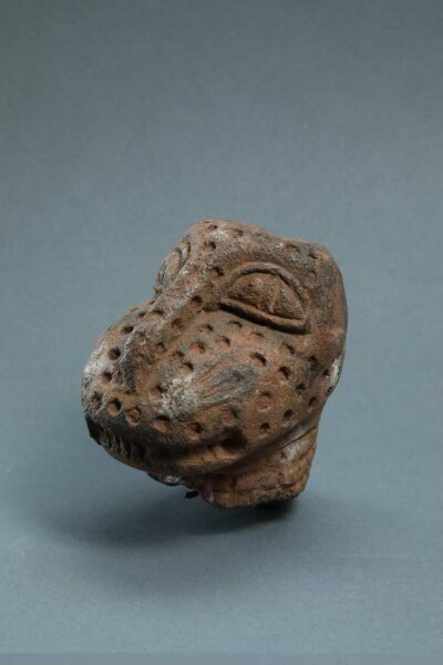 Leopard head (fragment)