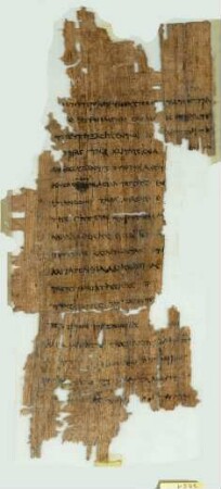 Inv. 07951, Köln, Papyrussammlung